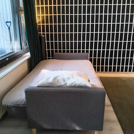 Apartmentmuikku *